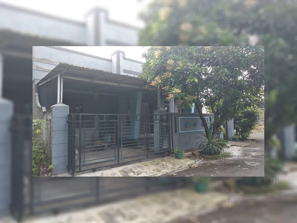 WhatsApp Image 2023-01-12 at 09.51.31.jpeg